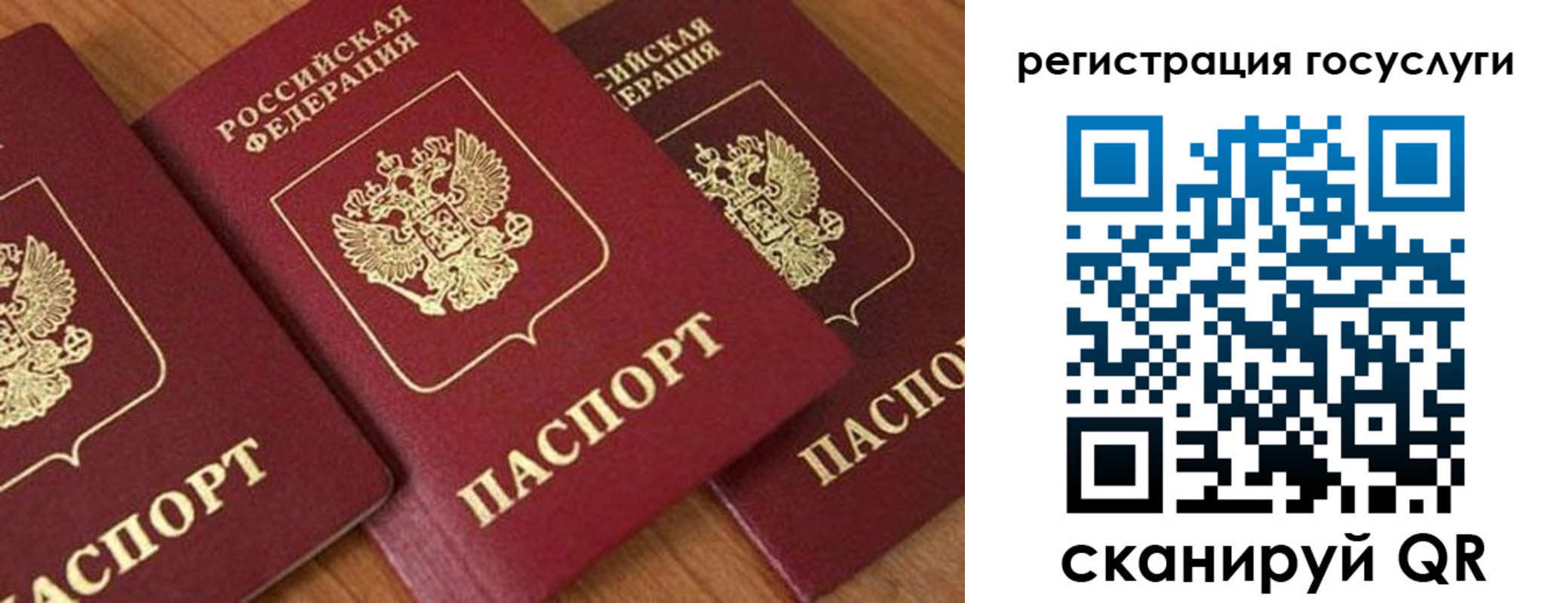 временная регистрация гарантия в Бронницах